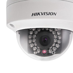 IP Cameras